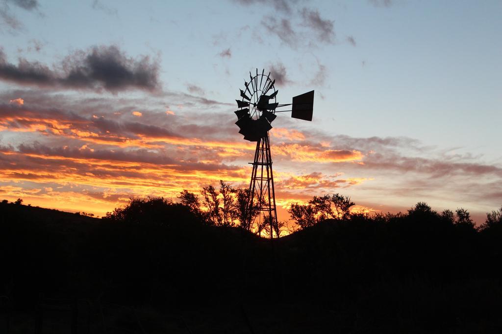 Denmark Farm Stay Cradock Oda fotoğraf