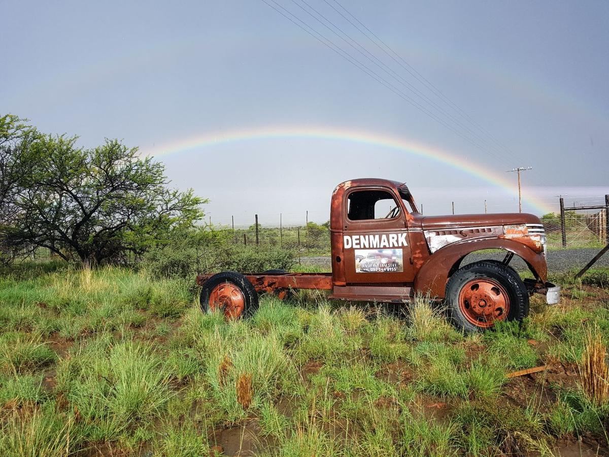 Denmark Farm Stay Cradock Oda fotoğraf